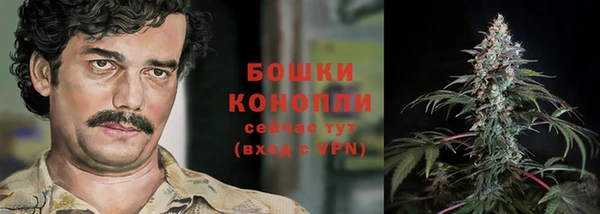 ПСИЛОЦИБИНОВЫЕ ГРИБЫ Верхний Тагил