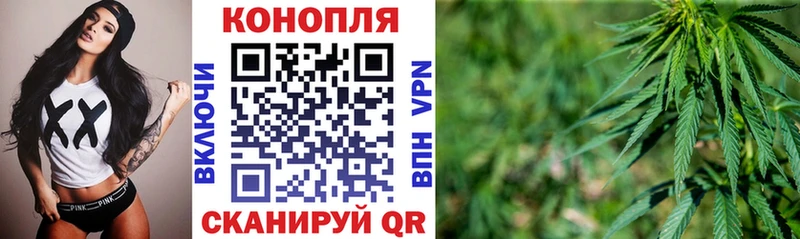 Бошки марихуана семена  как найти наркотики  Нижневартовск 
